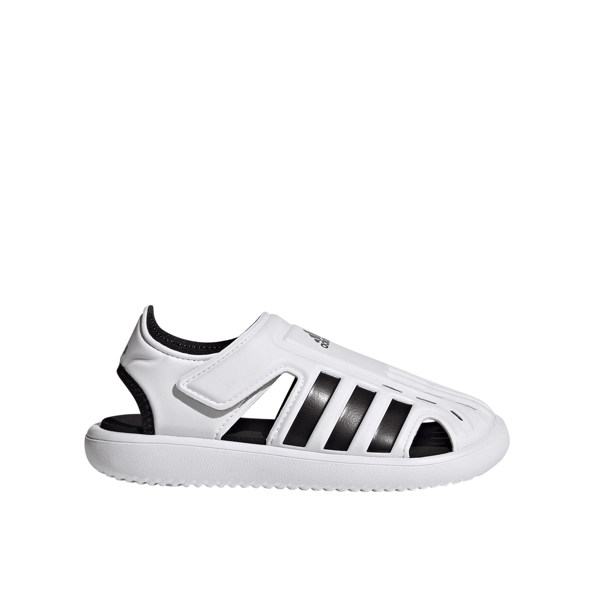 Water Sandal C