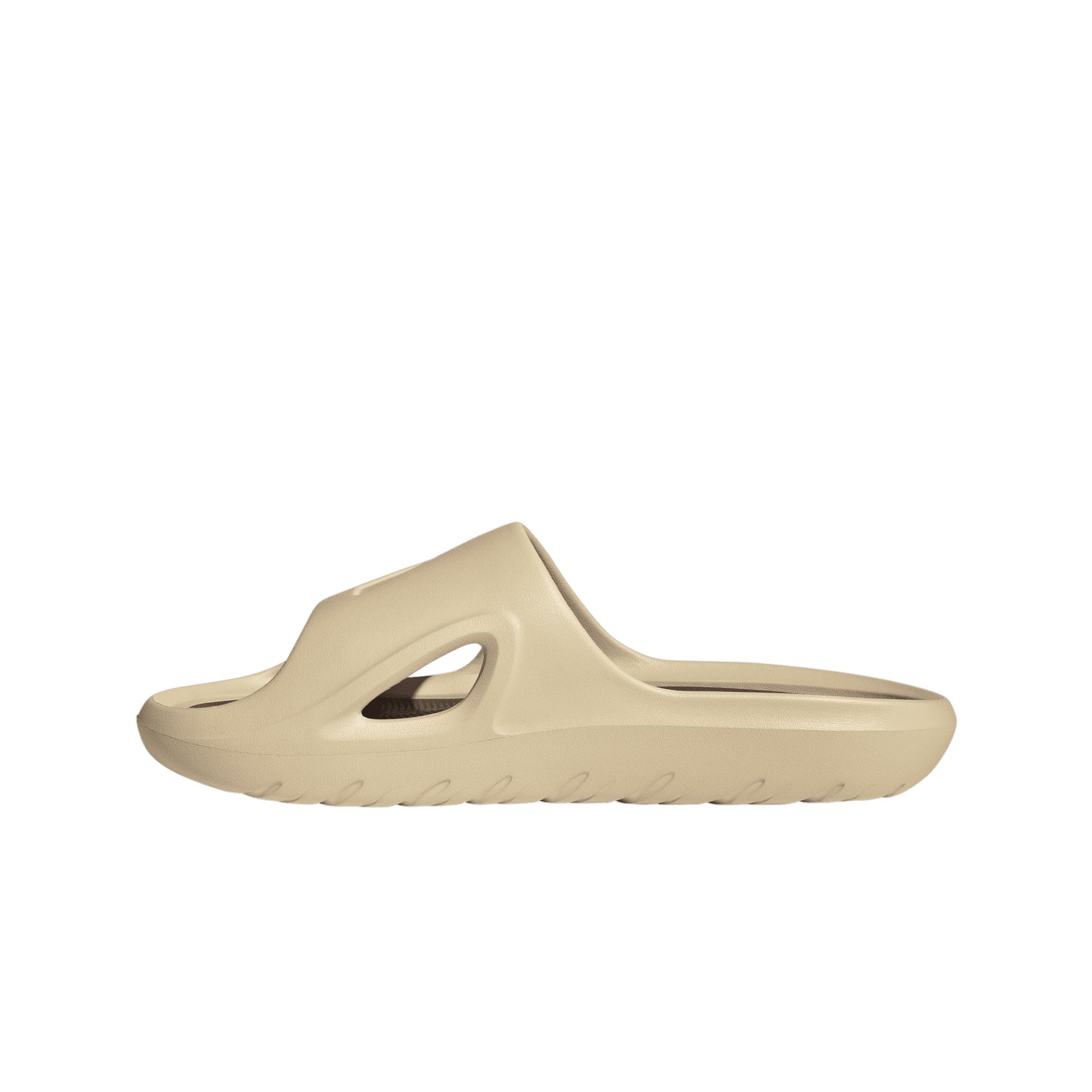 Adicane Slides