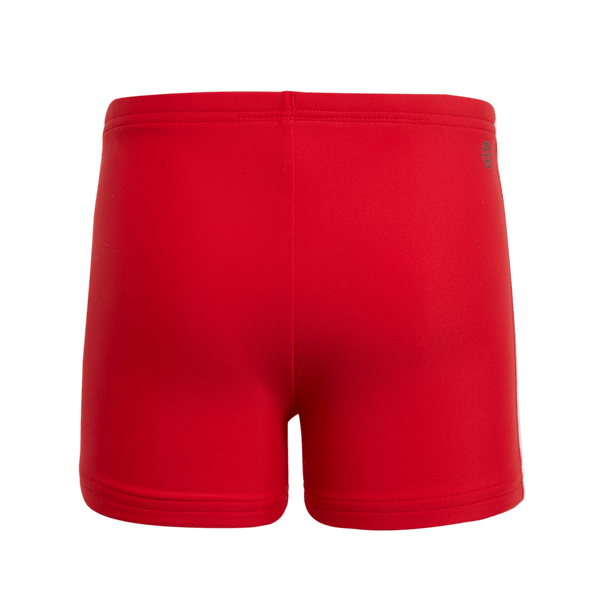 Dy Mm Boxer
