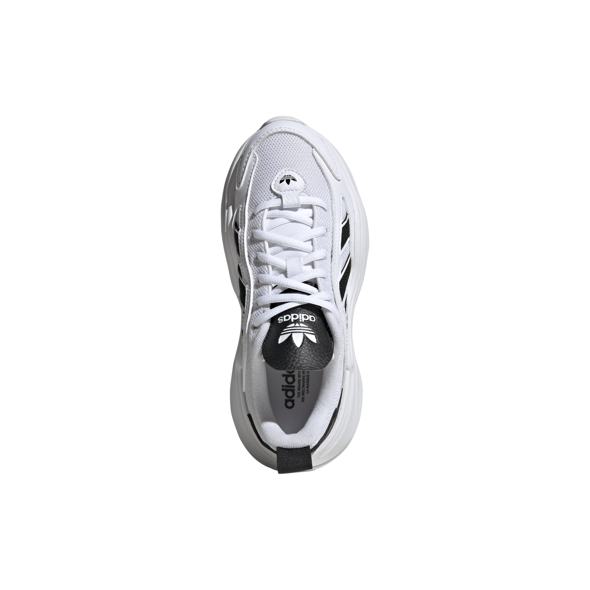 Ozgaia Shoes-2