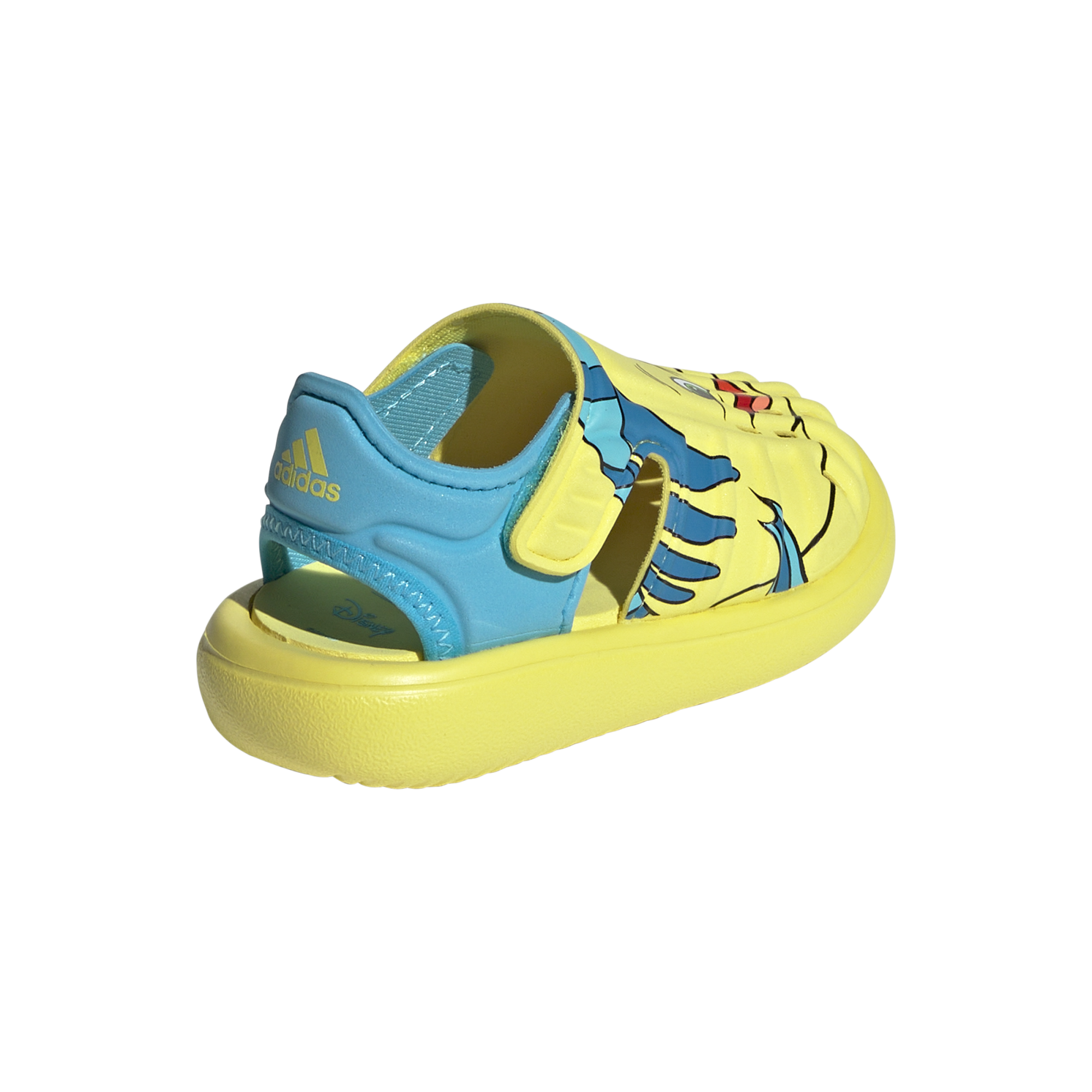 Water Sandal Flounder I