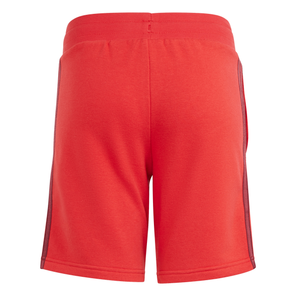 VRCT Shorts
