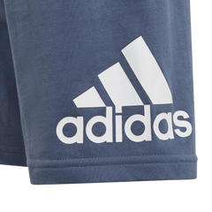 Essentials Logo Tee and Short Set-6
