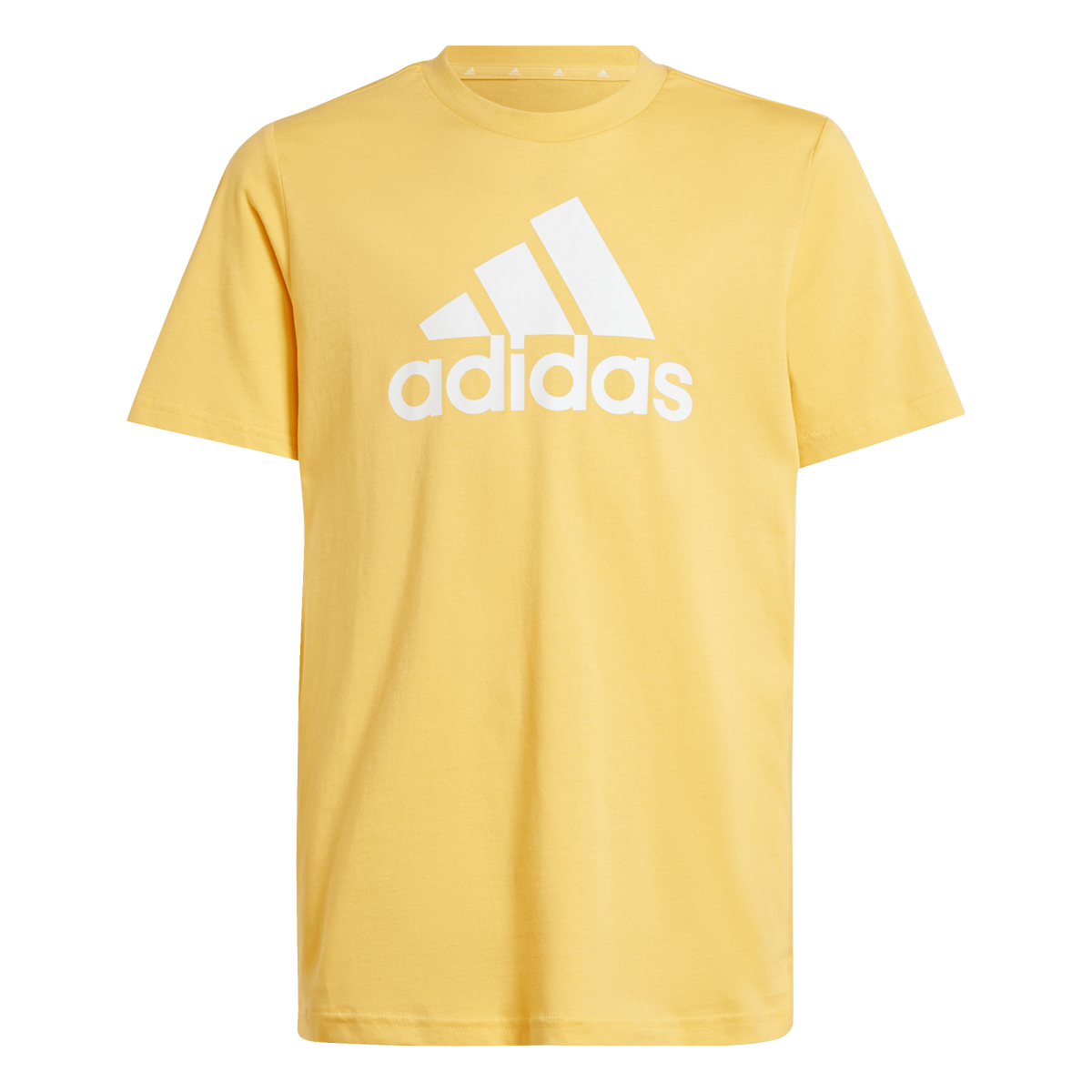Essentials Big Logo Cotton T-Shirt-9