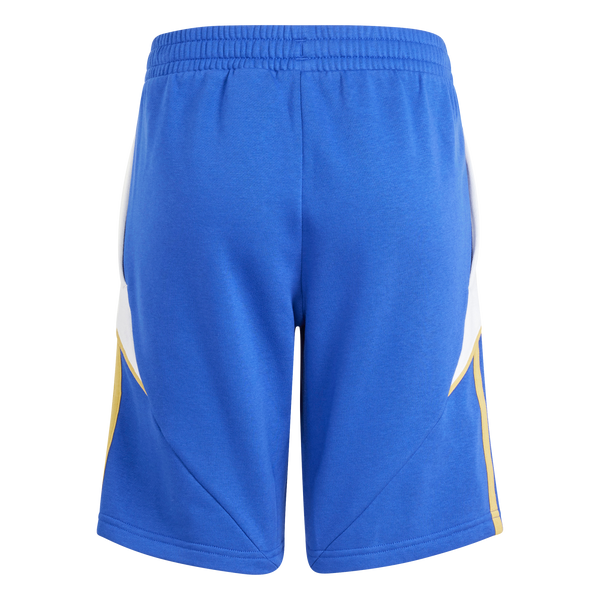 Pitch 2 Street Messi Sportswear Shorts Kids