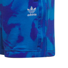 Summer Allover Print Shorts