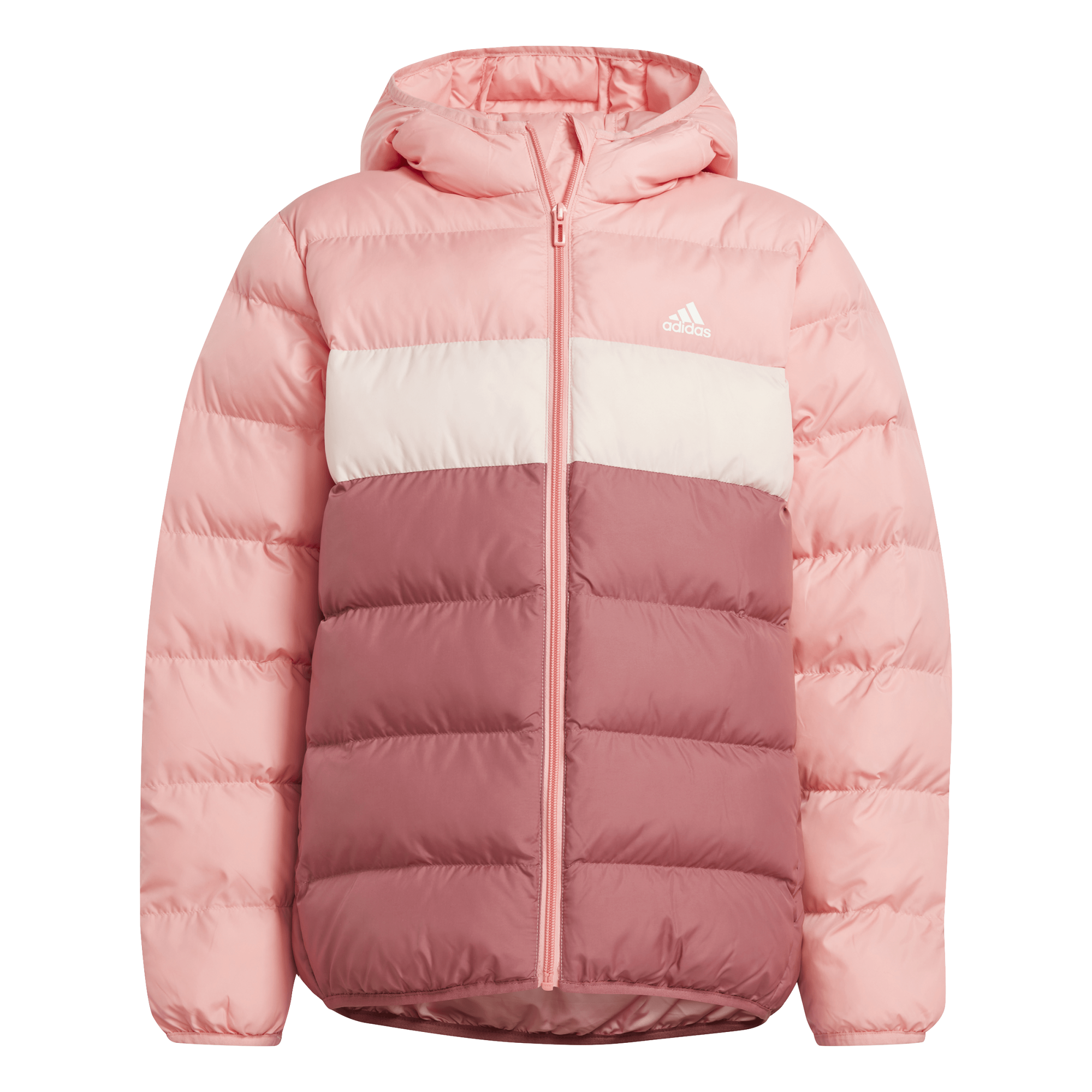 J Sd Jkt