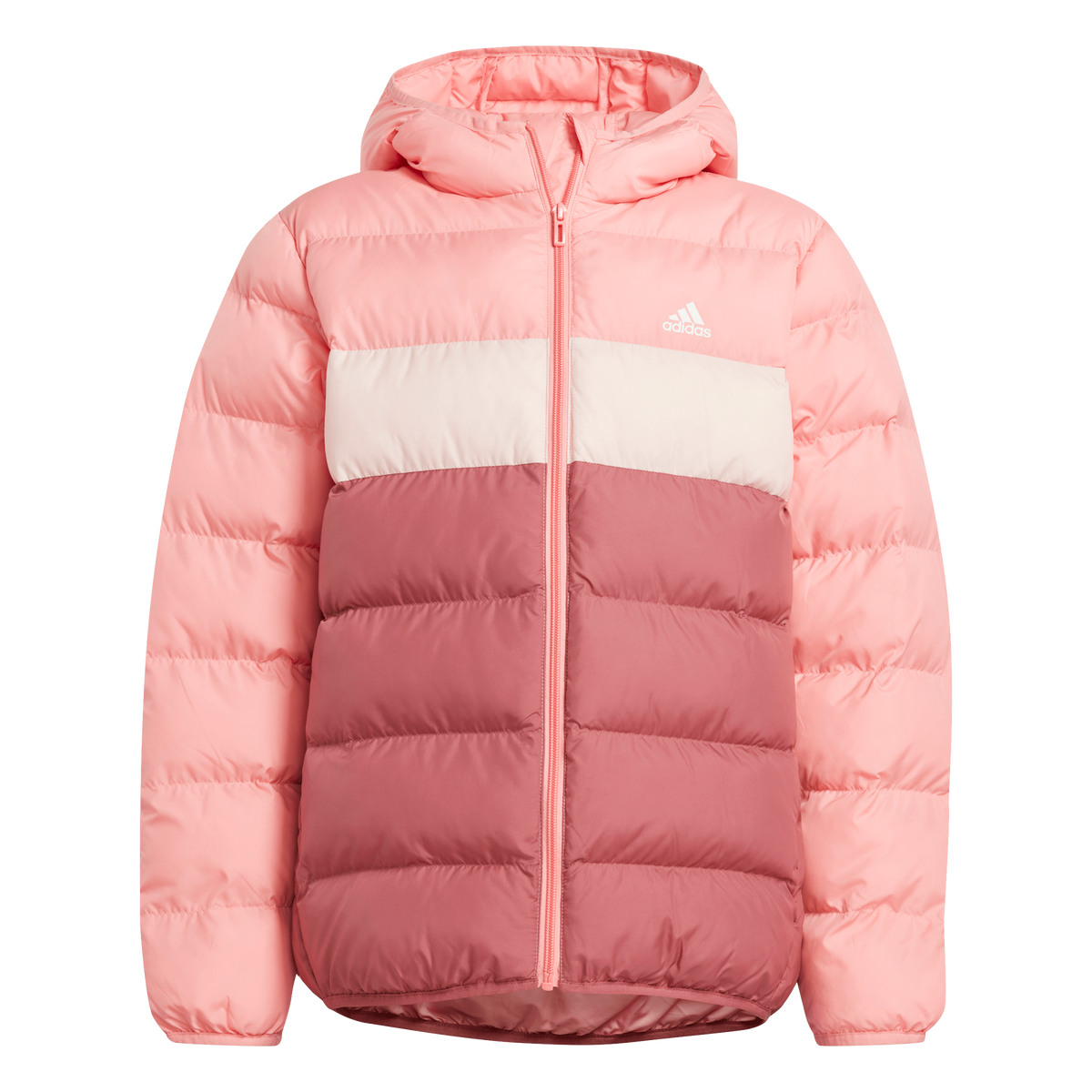 J Sd Jkt