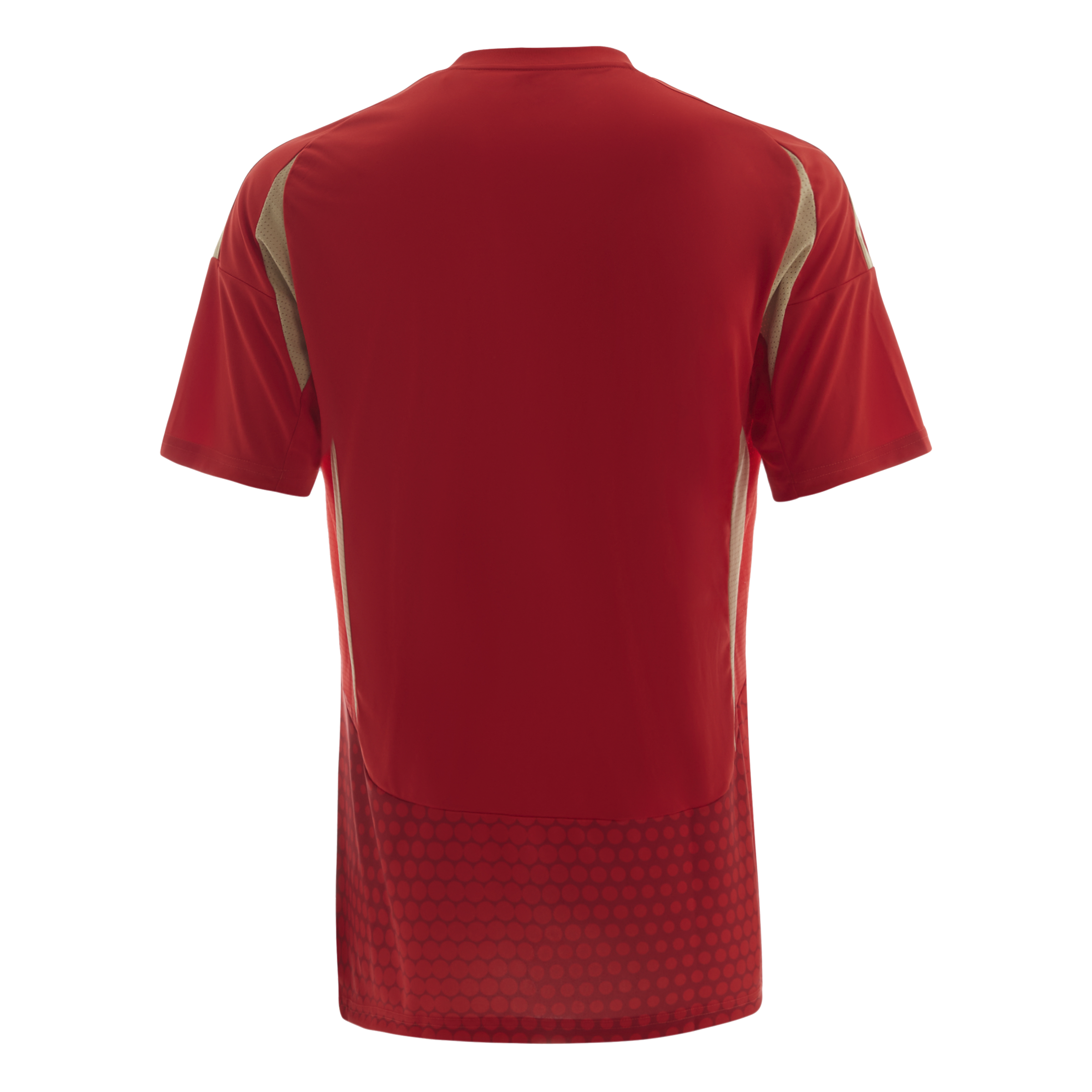 Al Ahly Home Jersey Men