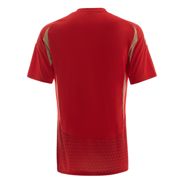 Al Ahly Home Jersey Men