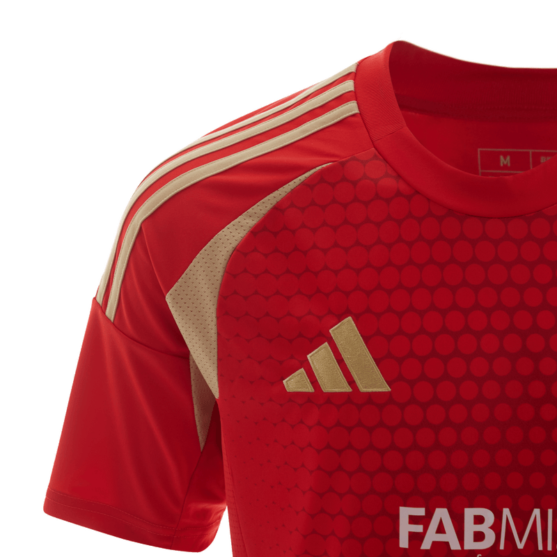 Al Ahly Home Jersey Men