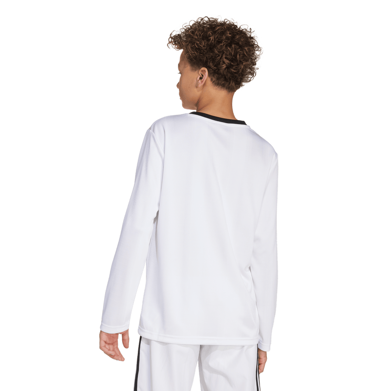 LS TEE