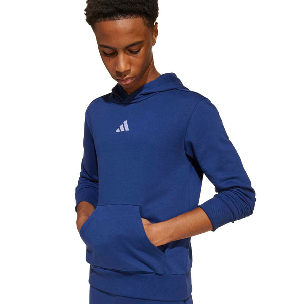 Essentials Hoodie Kids