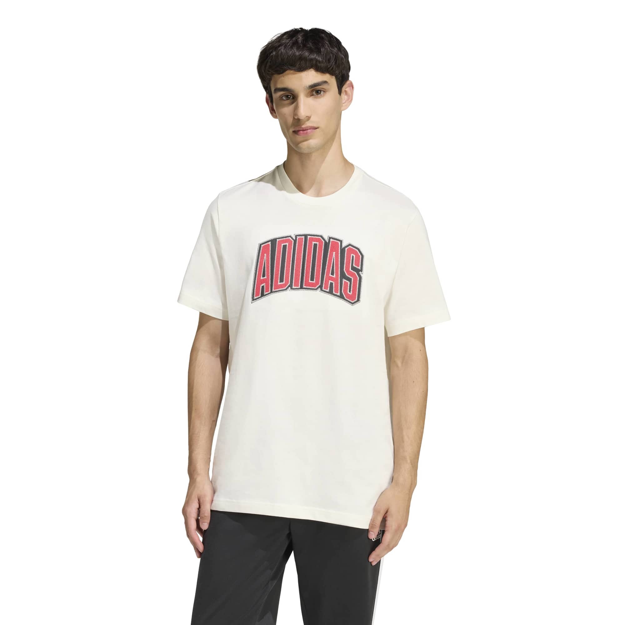 STADIUM COLLEGIATE GRAPHIC T-SHIRT