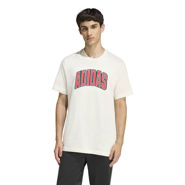 STADIUM COLLEGIATE GRAPHIC T-SHIRT