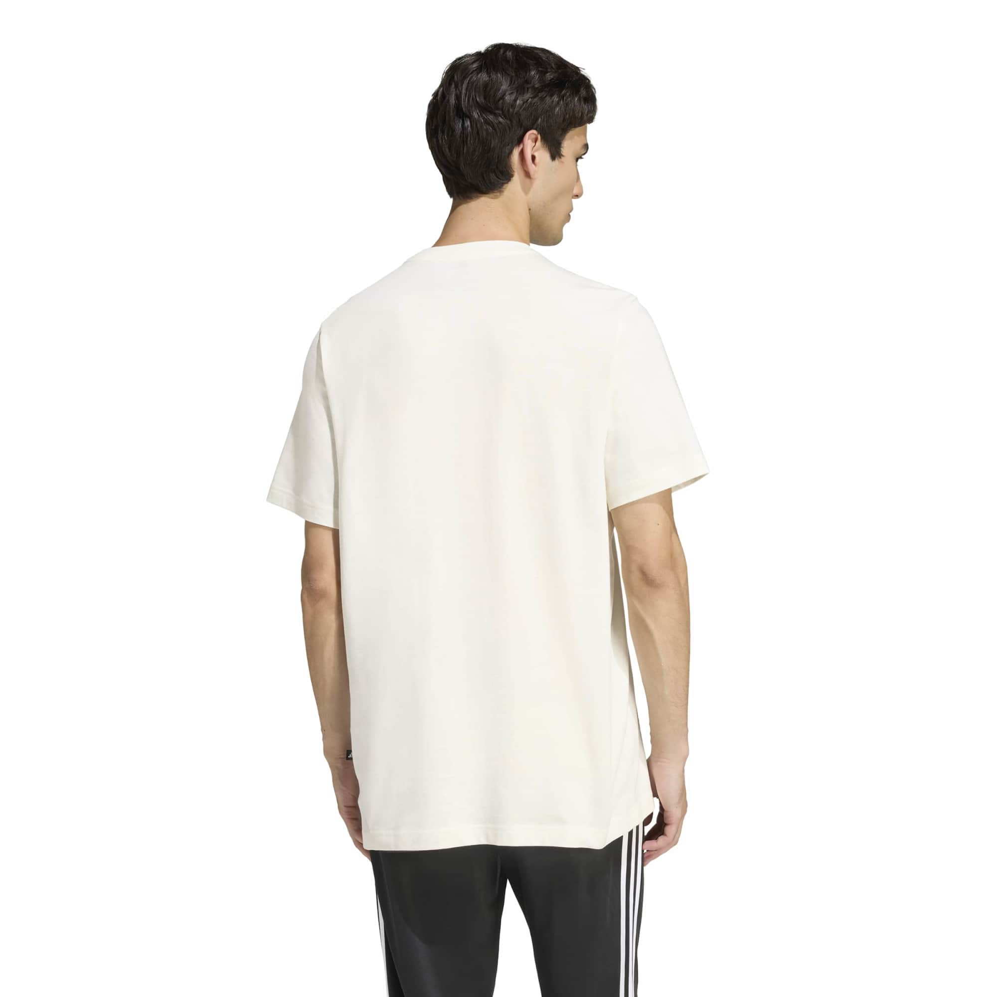 STADIUM COLLEGIATE GRAPHIC T-SHIRT