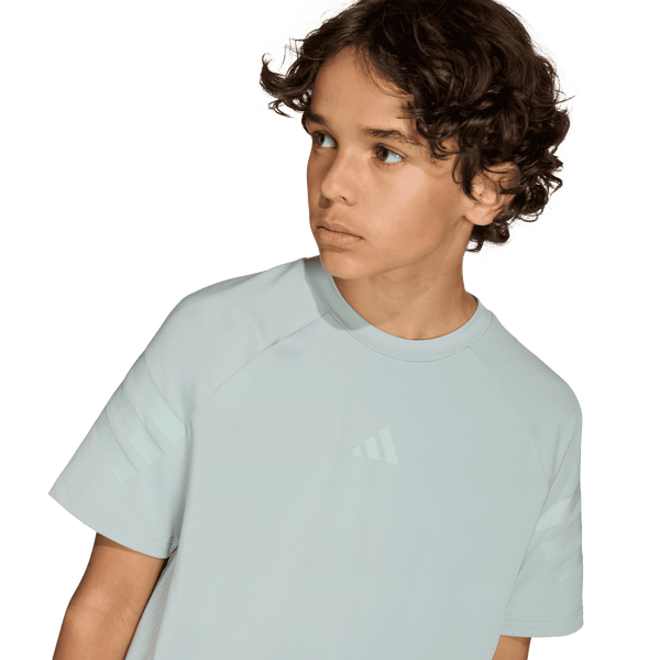 SPORT ICONS 3 STRIPES T-SHIRT