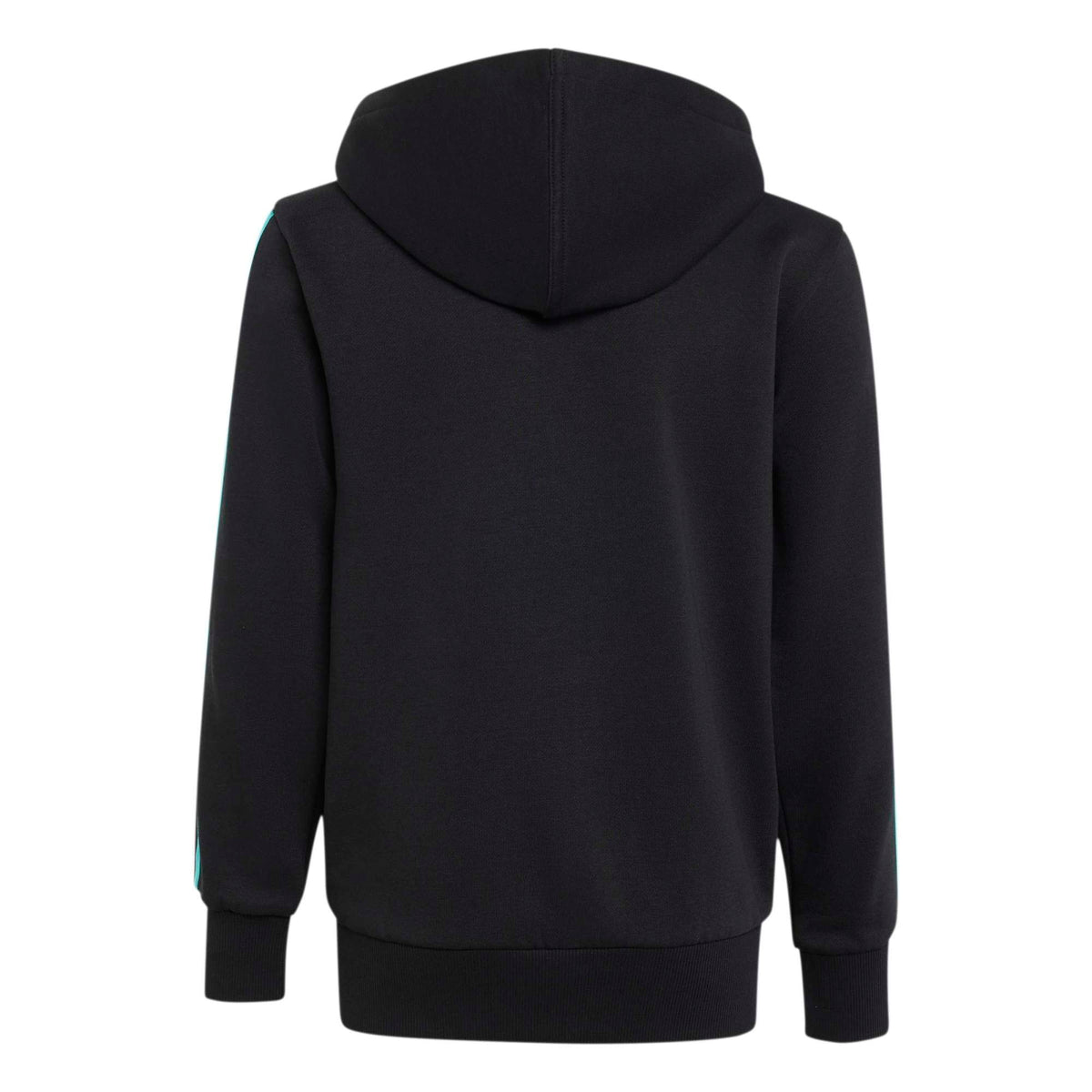 MERCEDES - AMG PETRONAS FORMULA 1 TEAM DNA FULL ZIP HOODY