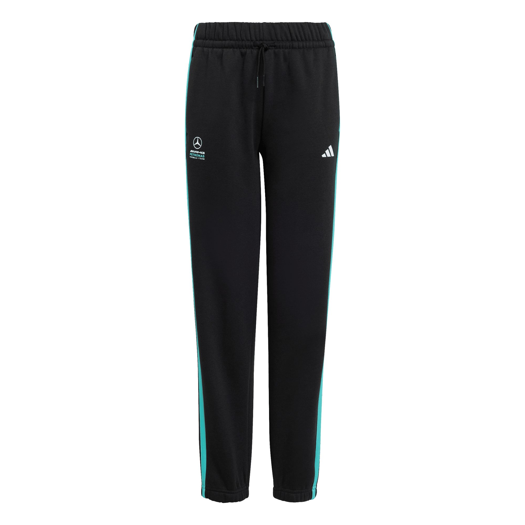 MERCEDES - AMG PETRONAS FORMULA 1 TEAM DNA PANT
