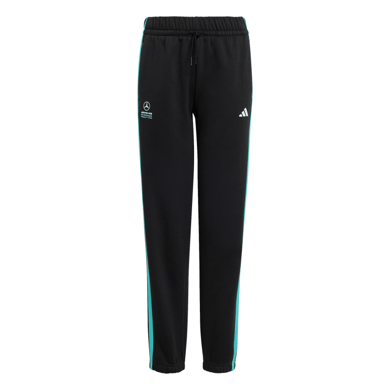 MERCEDES - AMG PETRONAS FORMULA 1 TEAM DNA PANT