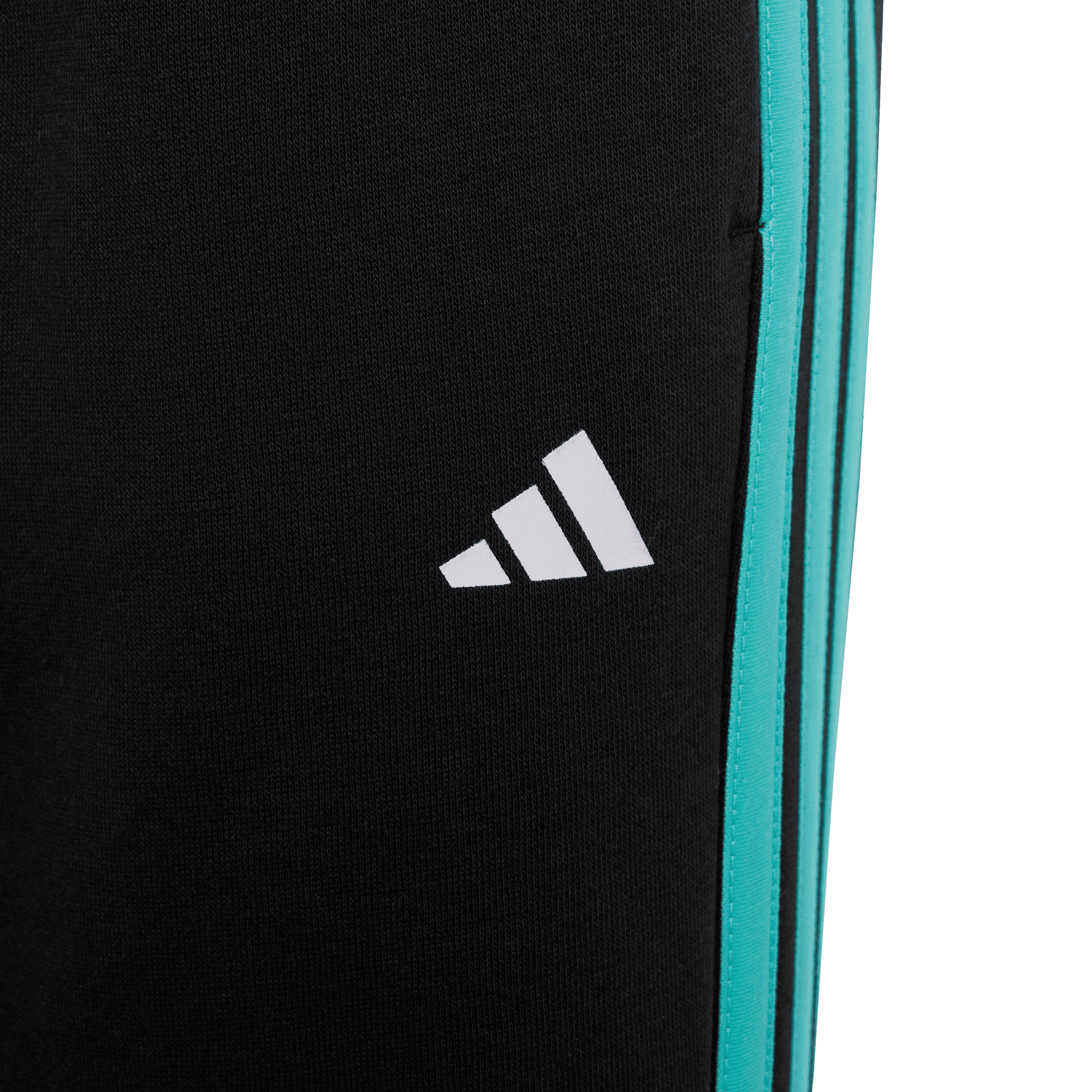 MERCEDES - AMG PETRONAS FORMULA 1 TEAM DNA PANT