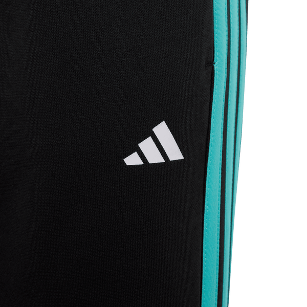 MERCEDES - AMG PETRONAS FORMULA 1 TEAM DNA PANT