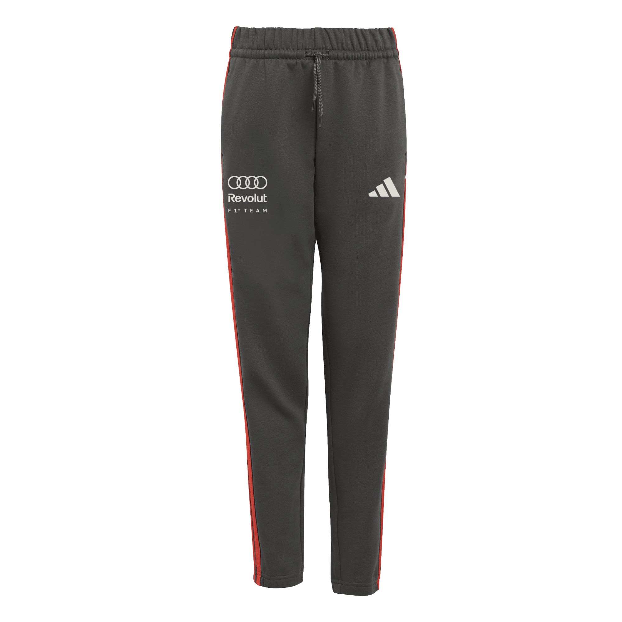 AUDI REVOLUT F1 TEAM DNA PANT