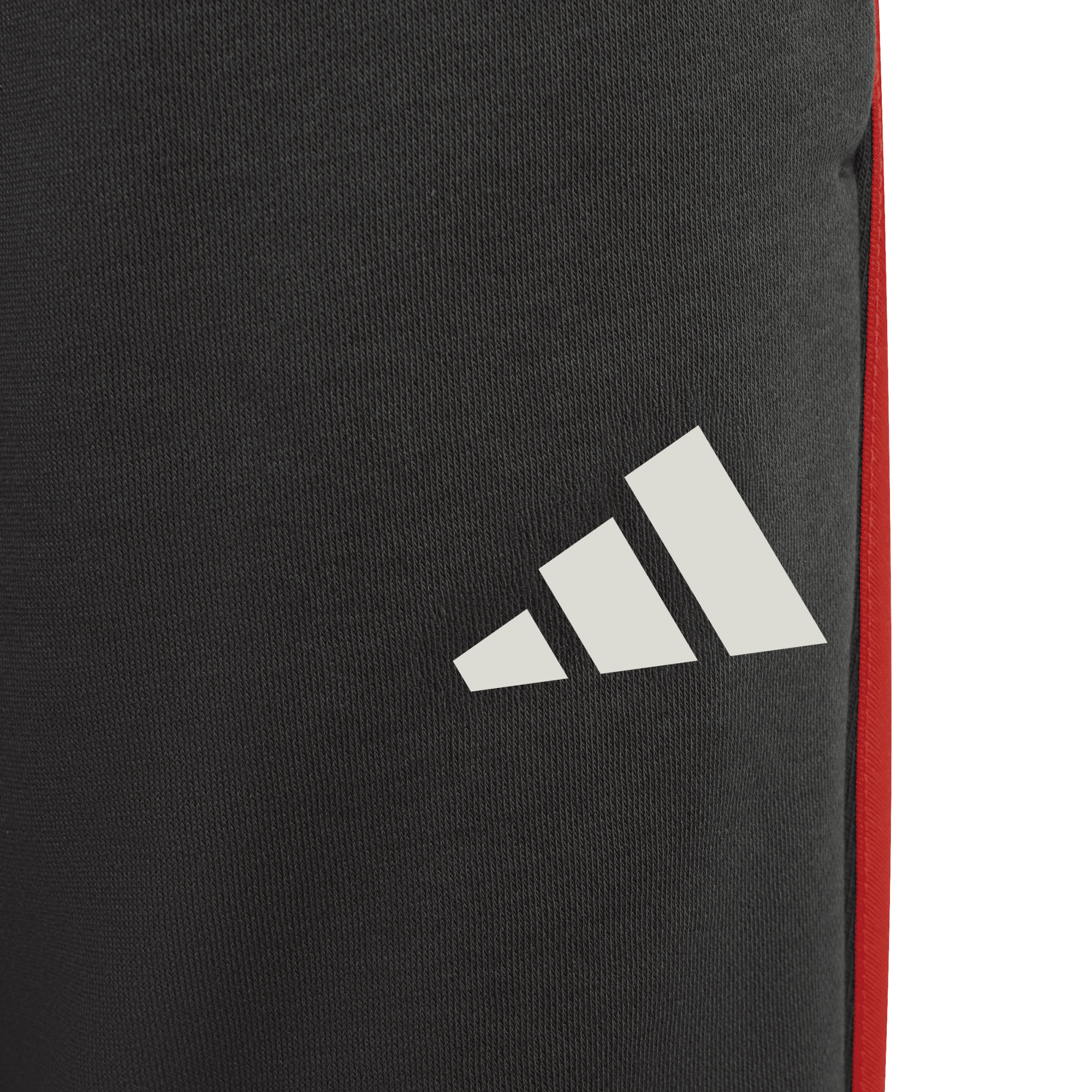 AUDI REVOLUT F1 TEAM DNA PANT