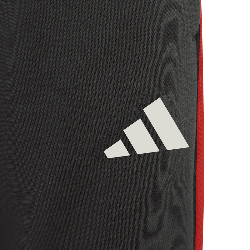 AUDI REVOLUT F1 TEAM DNA PANT