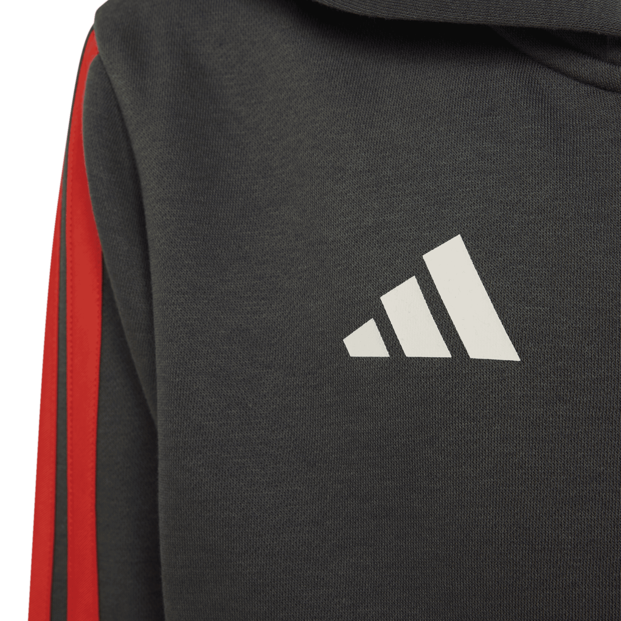 AUDI REVOLUT F1 TEAM DNA FULL ZIP HOODIE