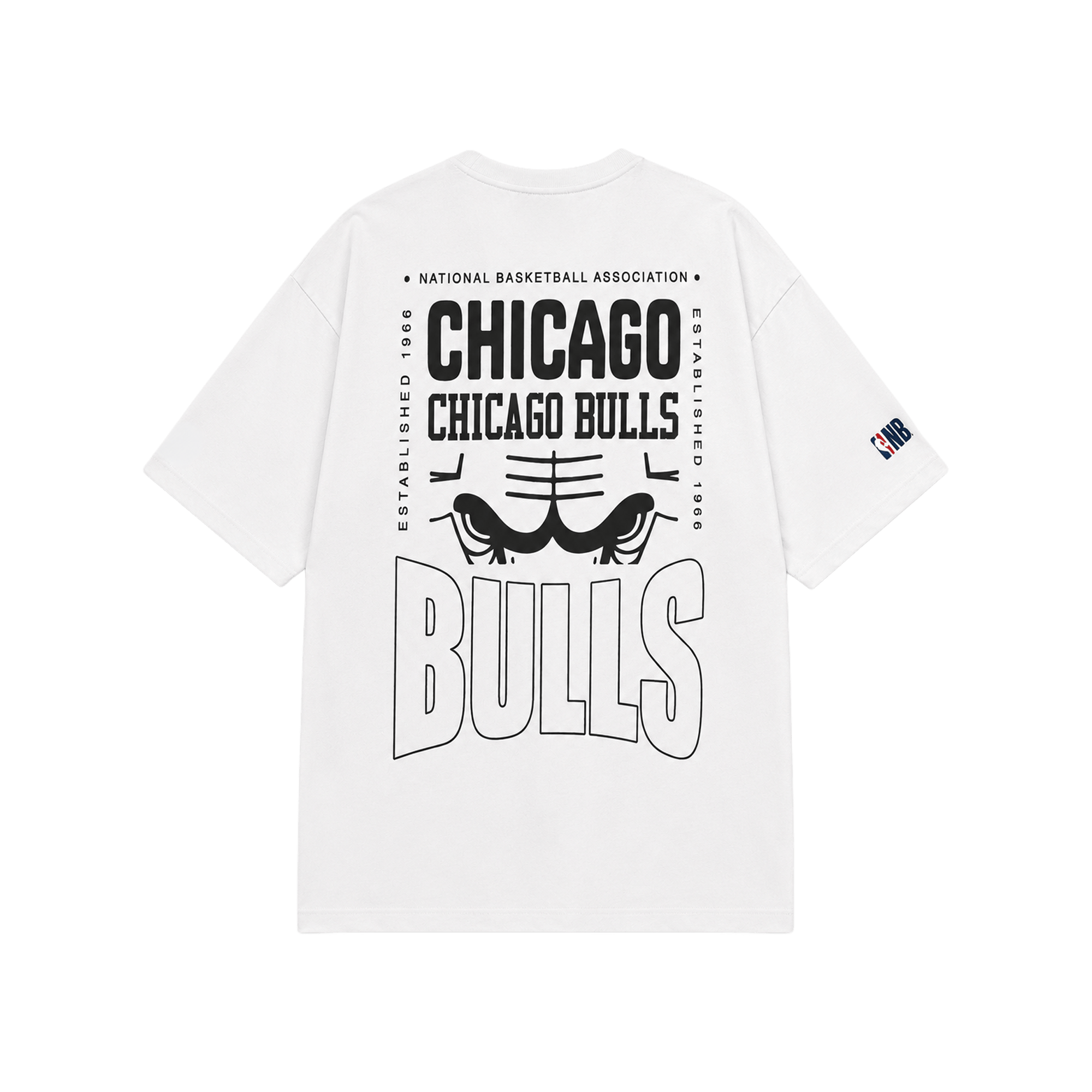 Chicago bulls champion t-shirt