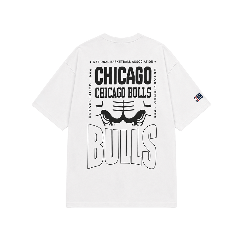 Chicago bulls champion t-shirt