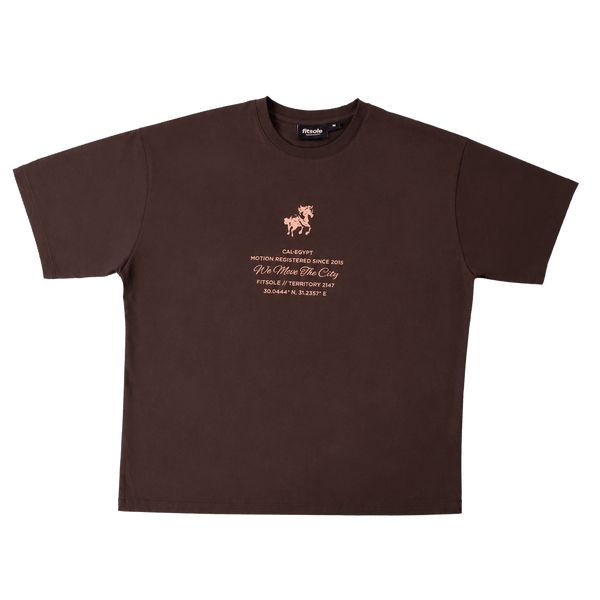 Fitsole Brown T-shirt